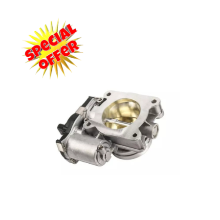 Fuel Injection Throttle
